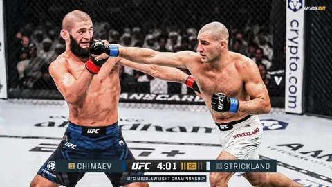 UFC 328